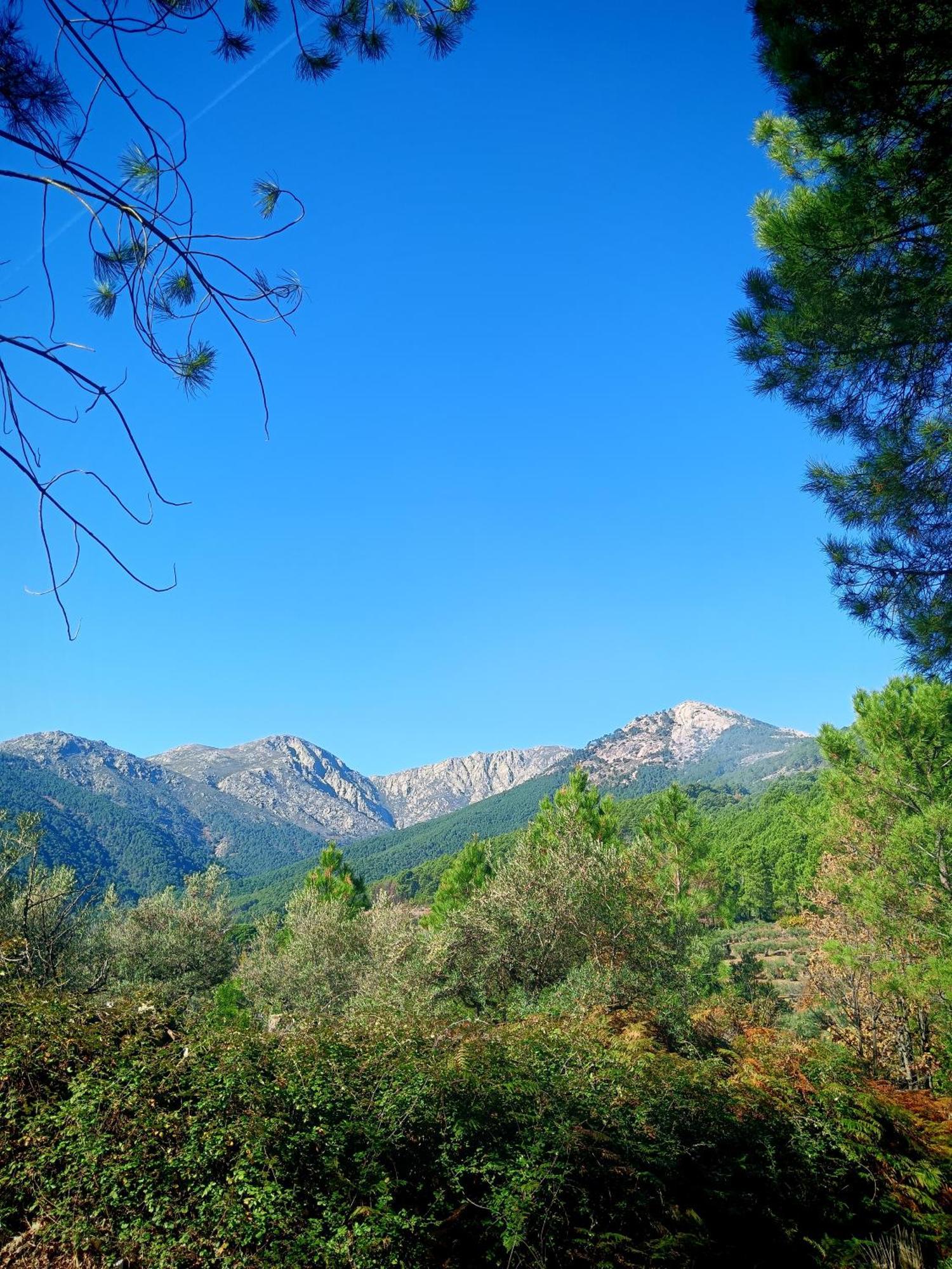 Estrellas De Gredos Arenas de San Pedro Εξωτερικό φωτογραφία